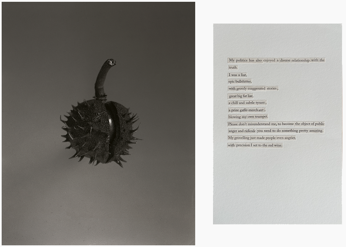 Photograph of a chestnut floating next to text