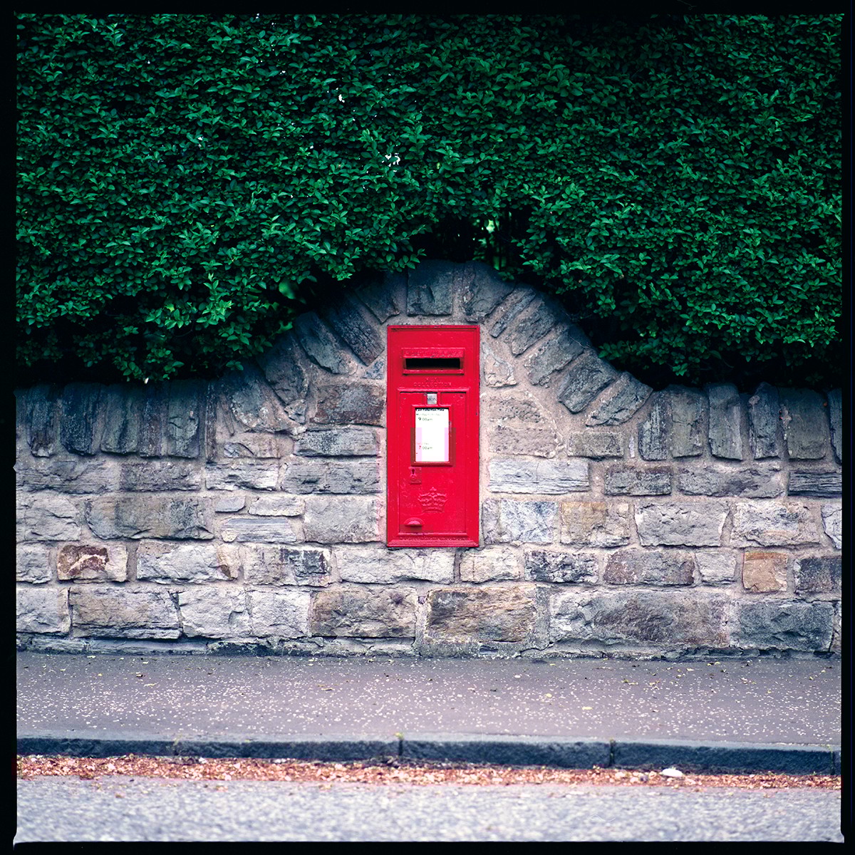 Colour photograph of post box and hedge