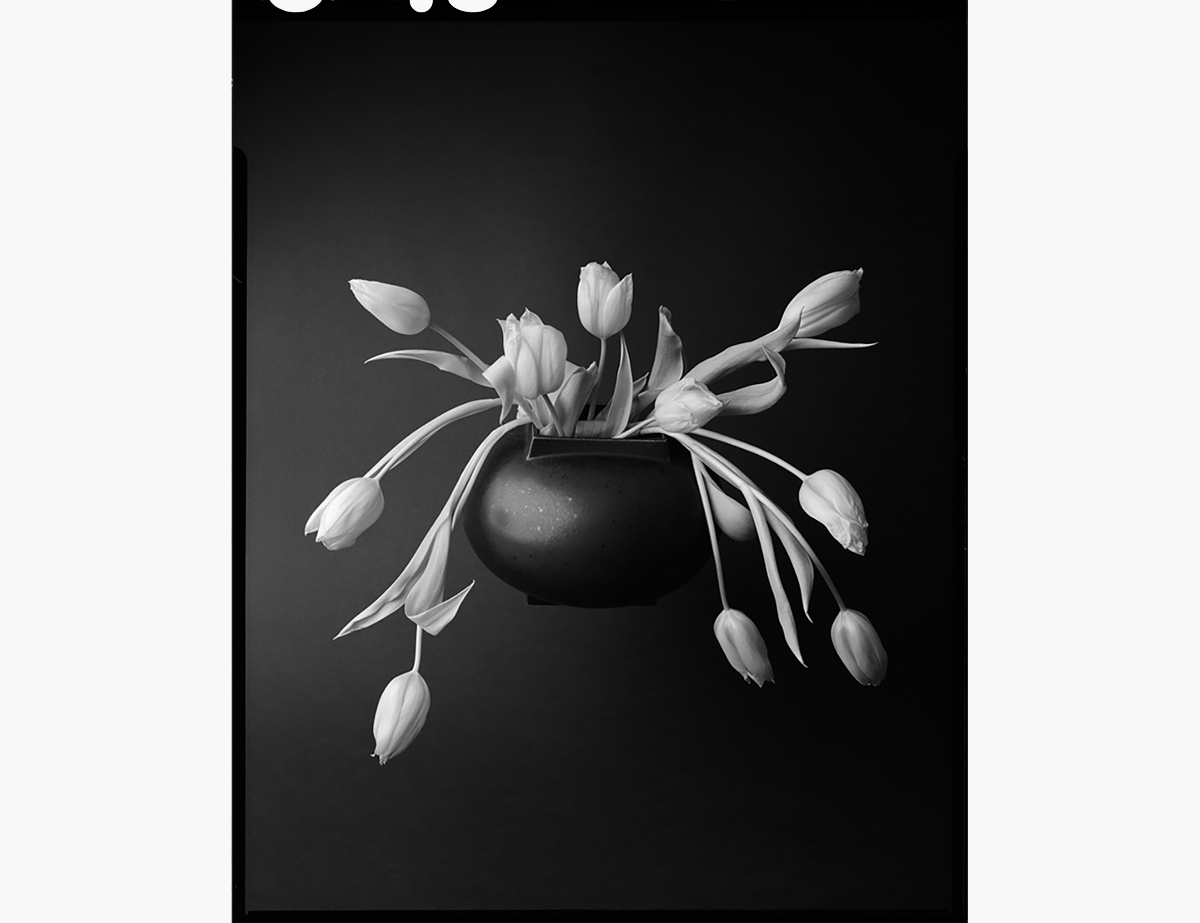 Photograph of flowers in a book with text