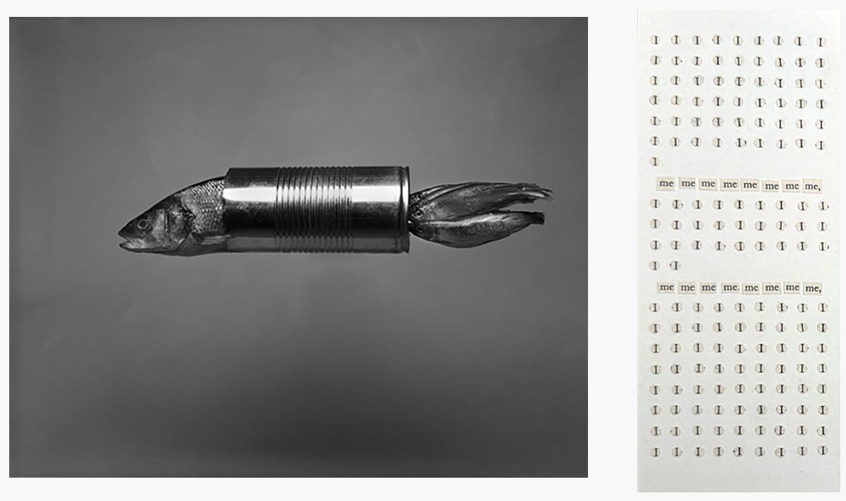 Photograph of fish and tin can floating next to text