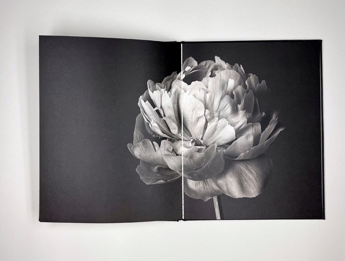 Photograph of flowers in a book with text