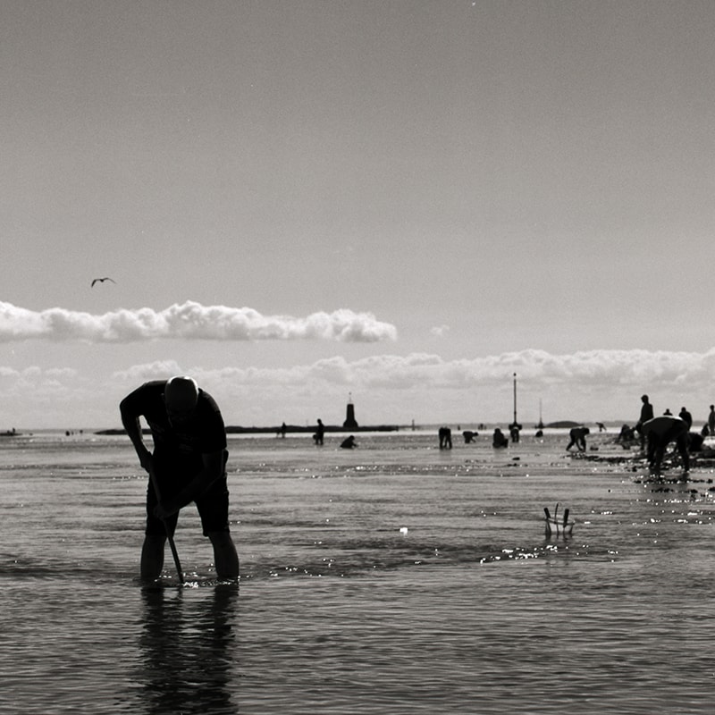Photographs of human figure