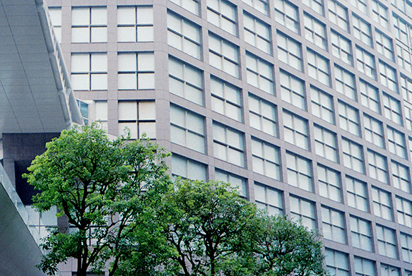 City buildings with some trees